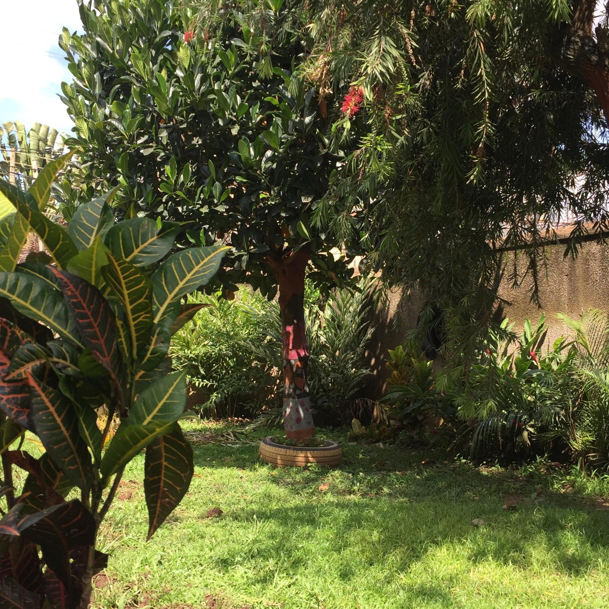 Tgs Homestay Kampala Exterior photo